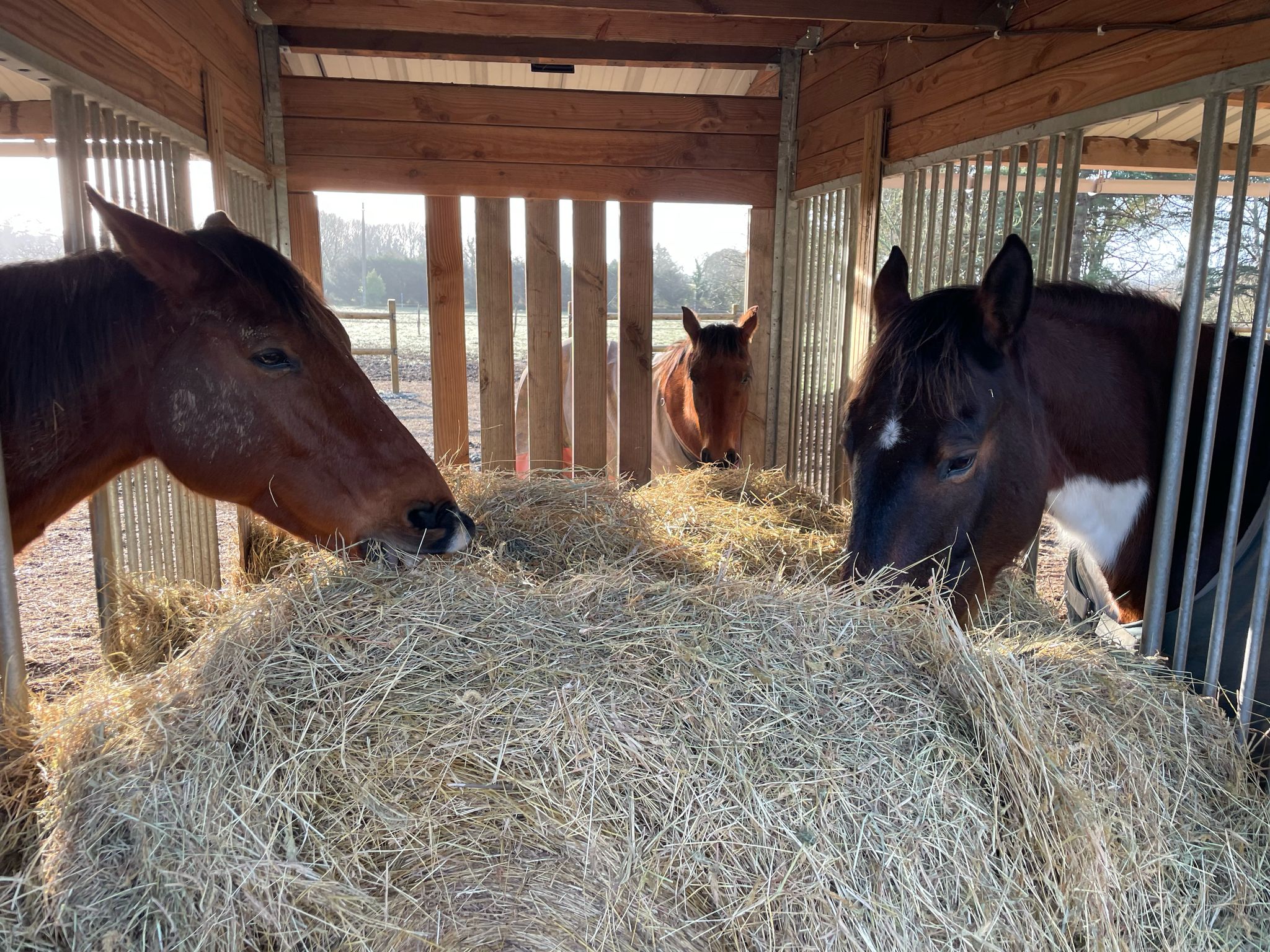 WhatsApp Image 2025-02-20 at 14.59.34