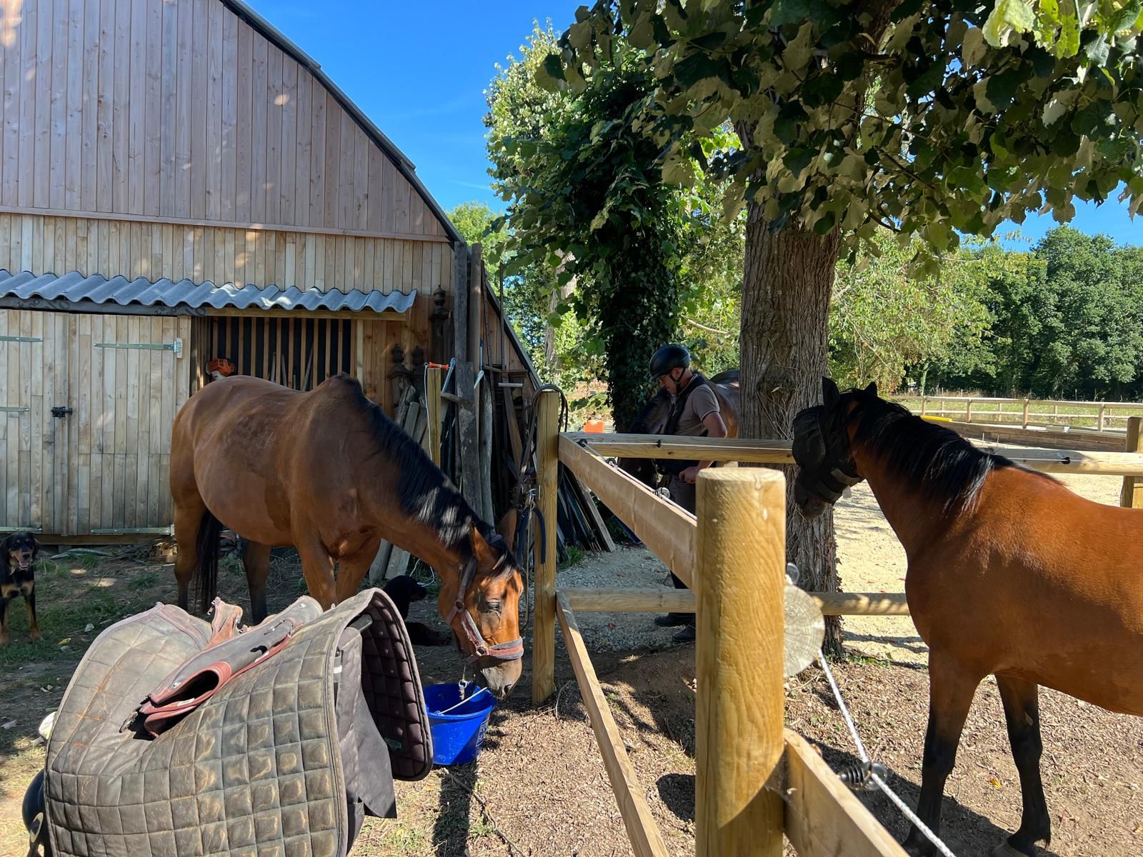 WhatsApp Image 2025-02-20 at 15.46.42