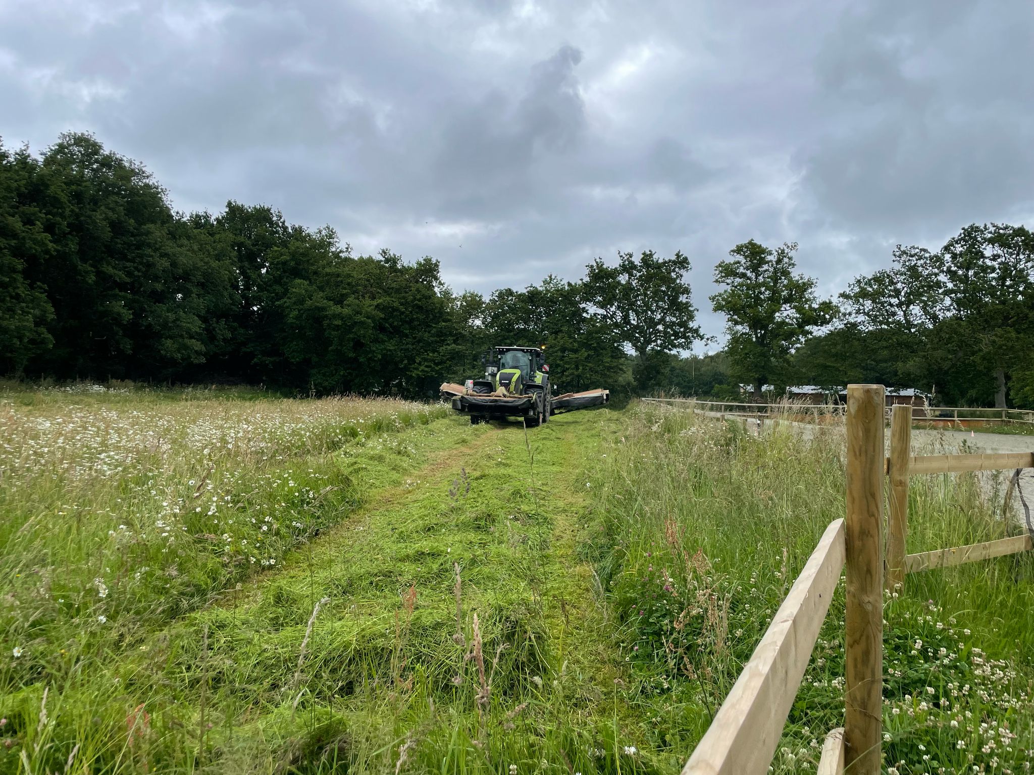 WhatsApp Image 2025-02-20 at 15.47.16