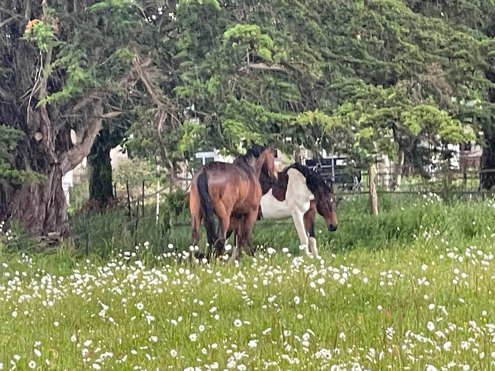 WhatsApp Image 2025-02-20 at 15.47.17