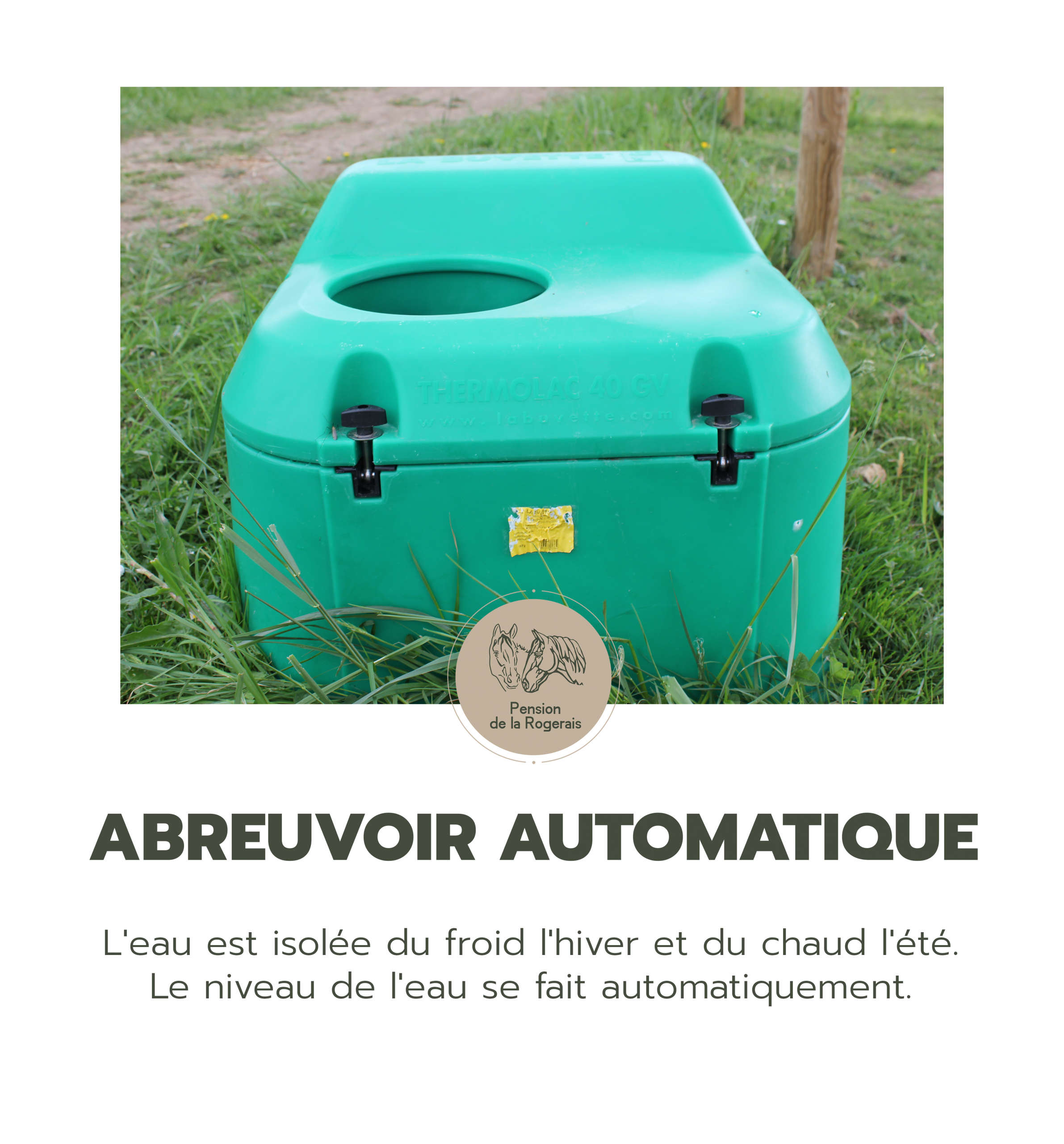 kordokov_pensions_rogerais_pension_chevaux_bretagne_abreuvoir