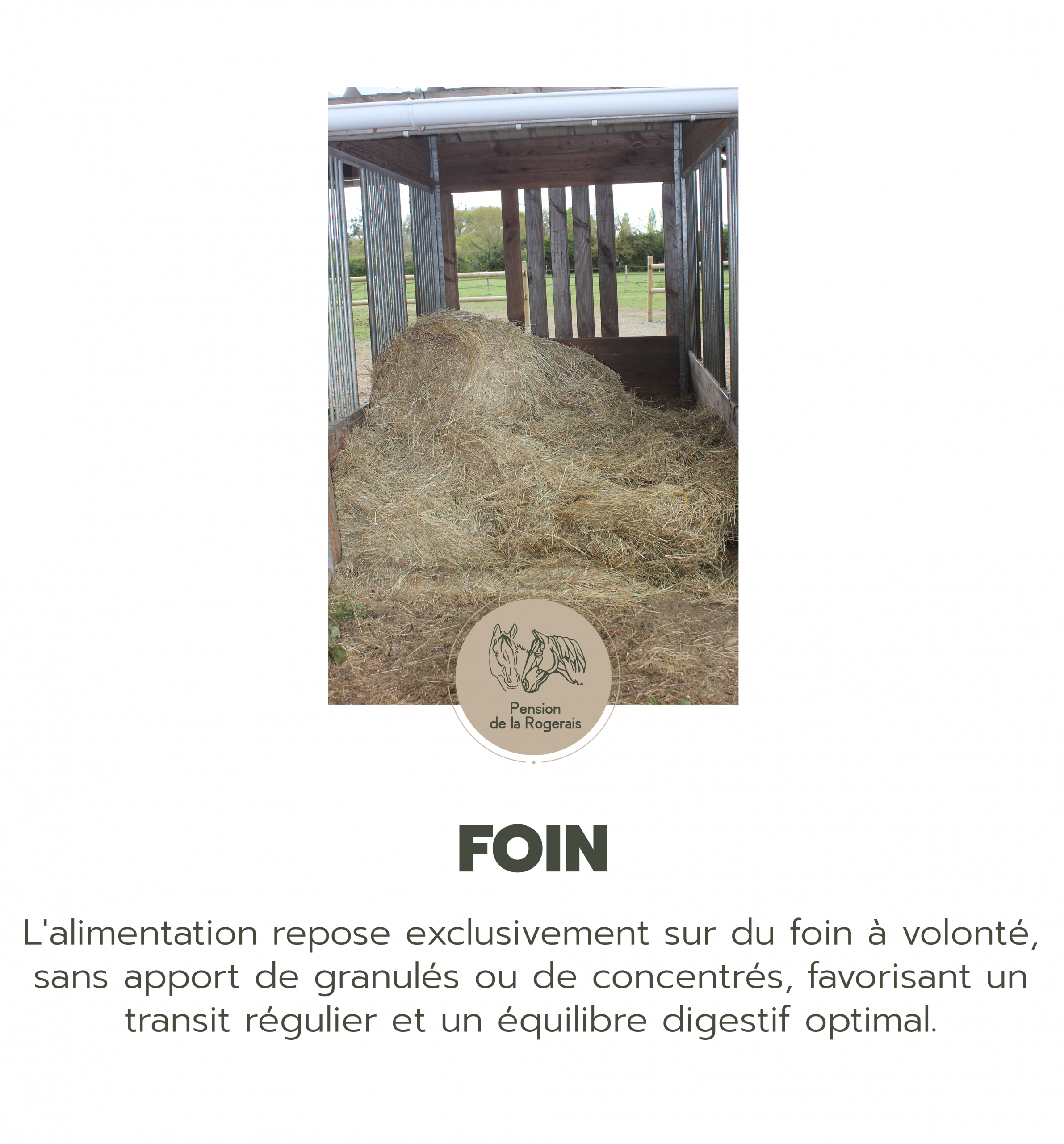 kordokov_pensions_rogerais_pension_chevaux_bretagne_foin