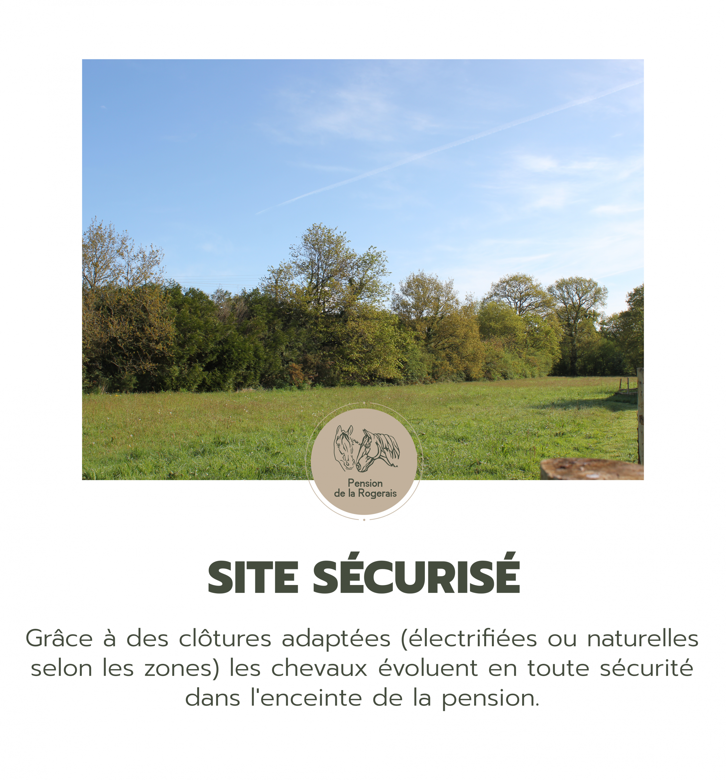 kordokov_pensions_rogerais_pension_chevaux_bretagne_site