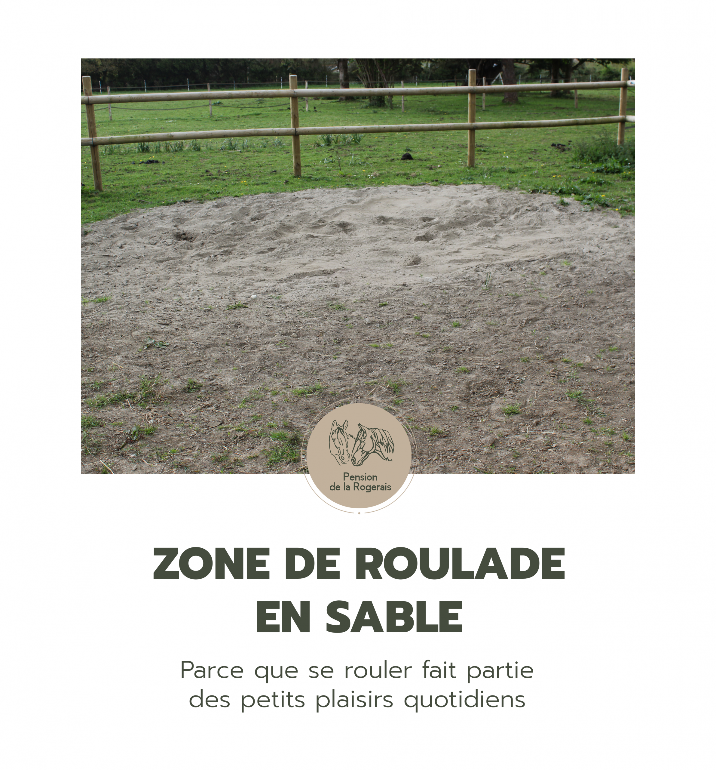kordokov_pensions_rogerais_pension_chevaux_bretagne_zone_de_roulade