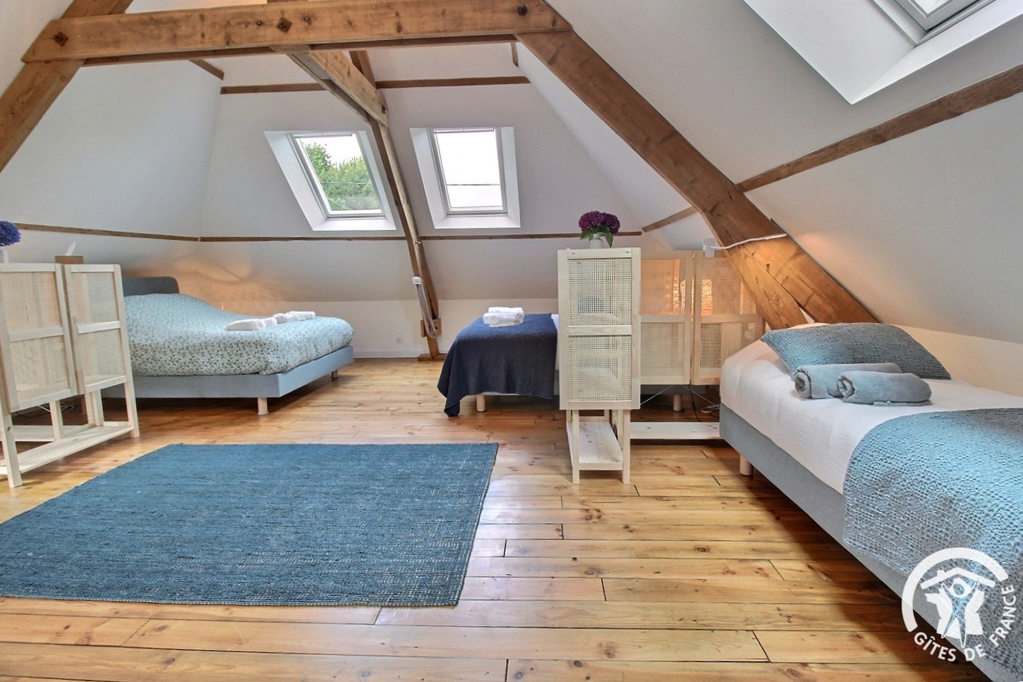 kordokov_gite_bretagne_pension_cheval